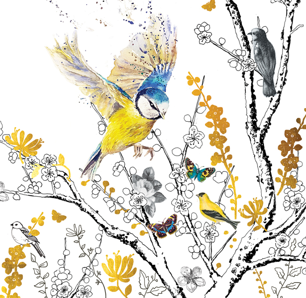 Amanda Hillier Designer & Illustrator profile image 2