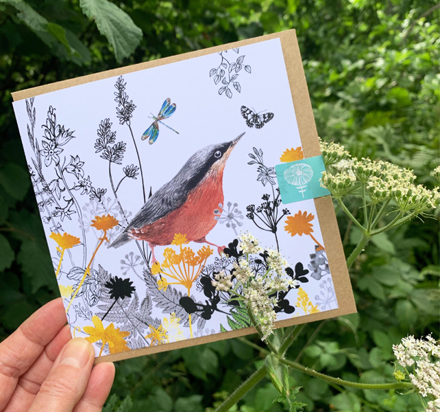 Amanda Hillier Designer & Illustrator profile image 1