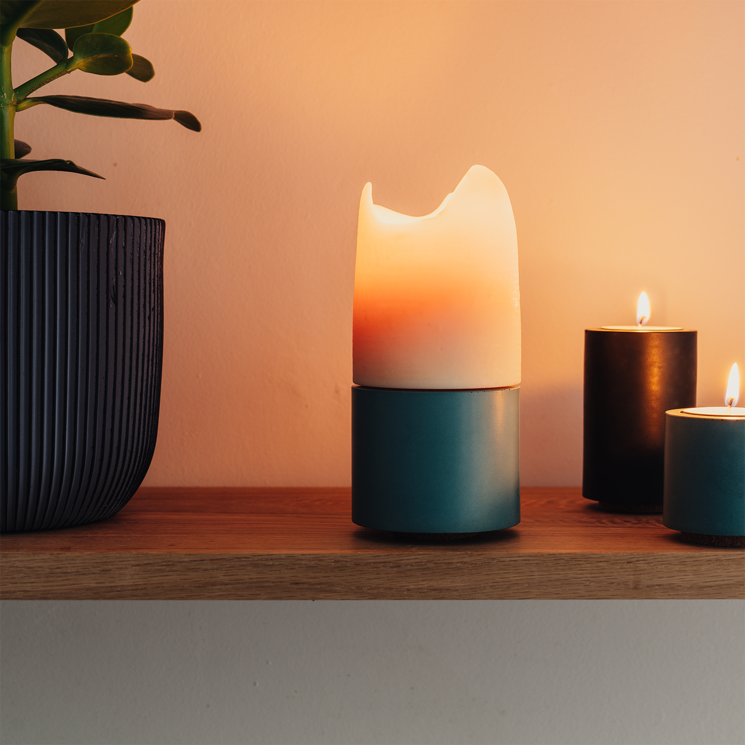 CONCRETE & WAX profile image 5