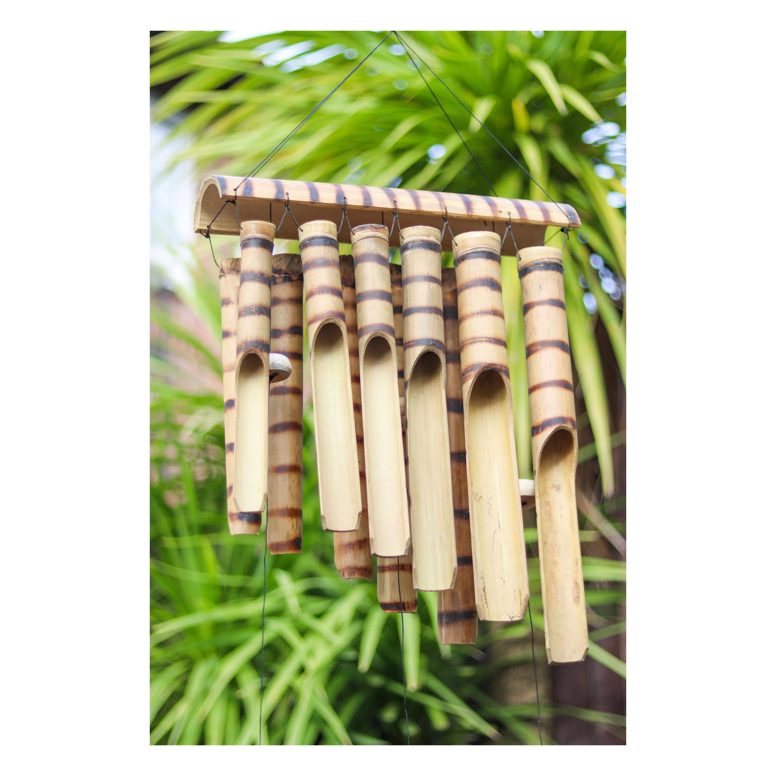 Sunlover Ltd profile image 2