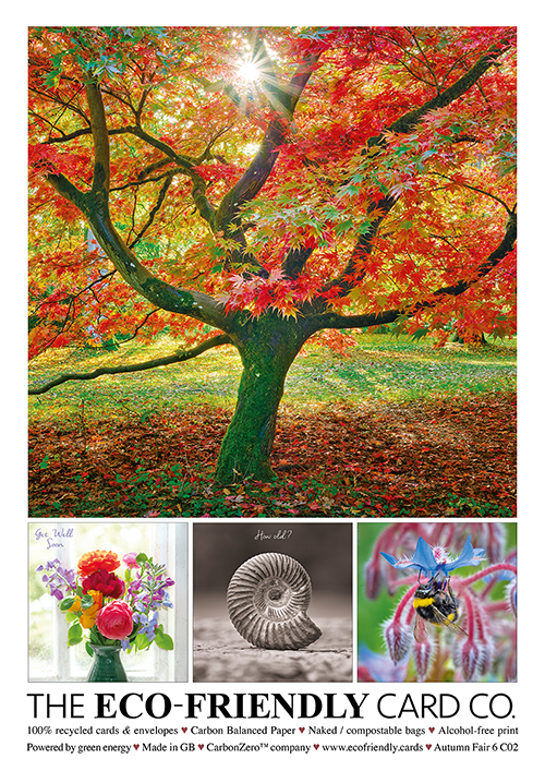 The Eco-friendly Card Co profile image 5