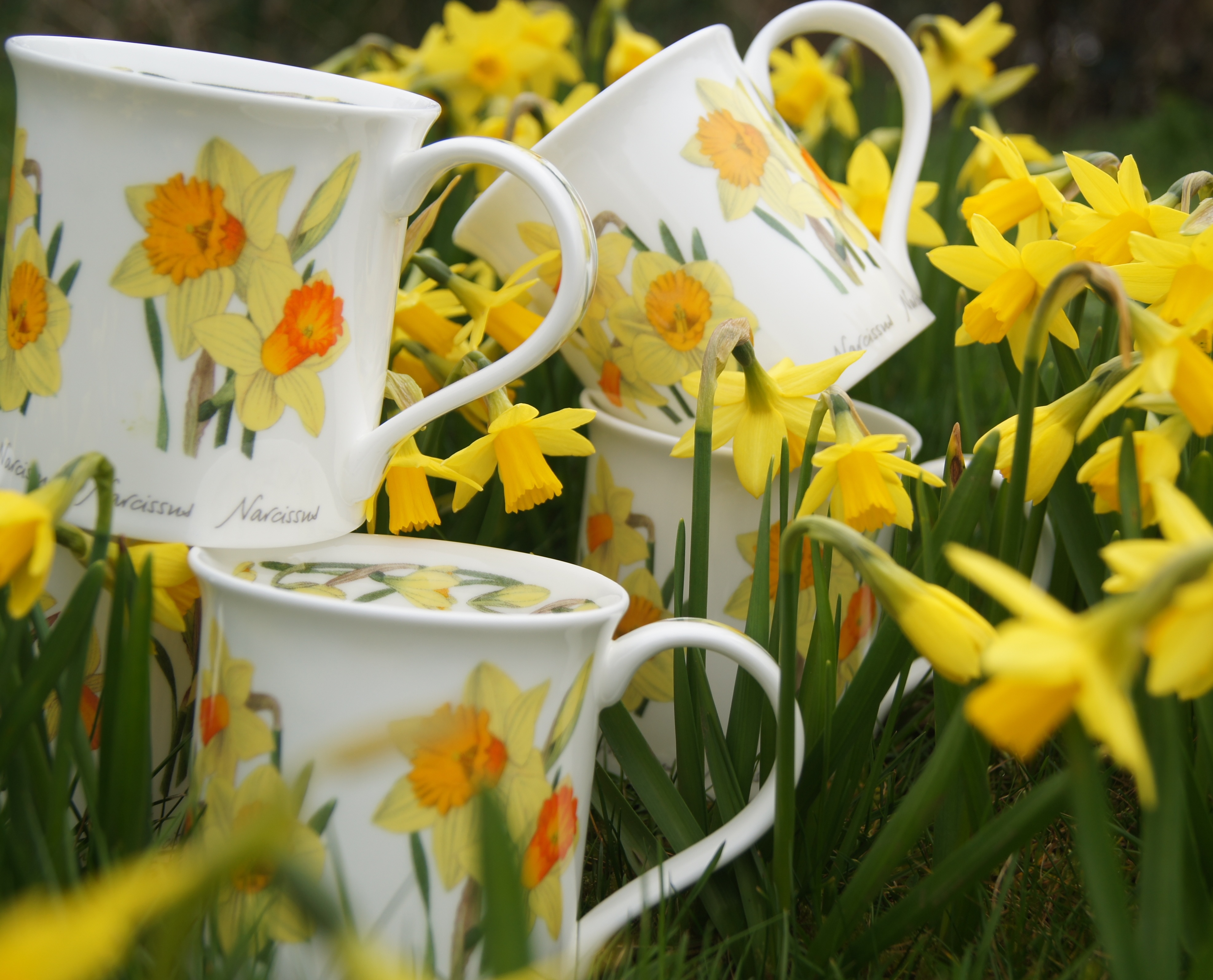 DUNOON profile image 2