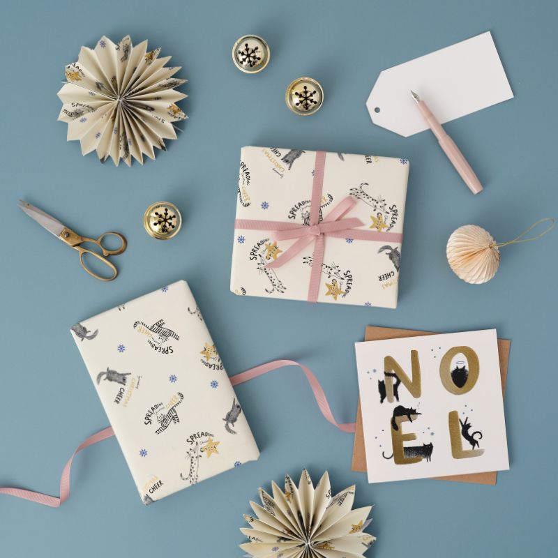 Cardology profile image 3