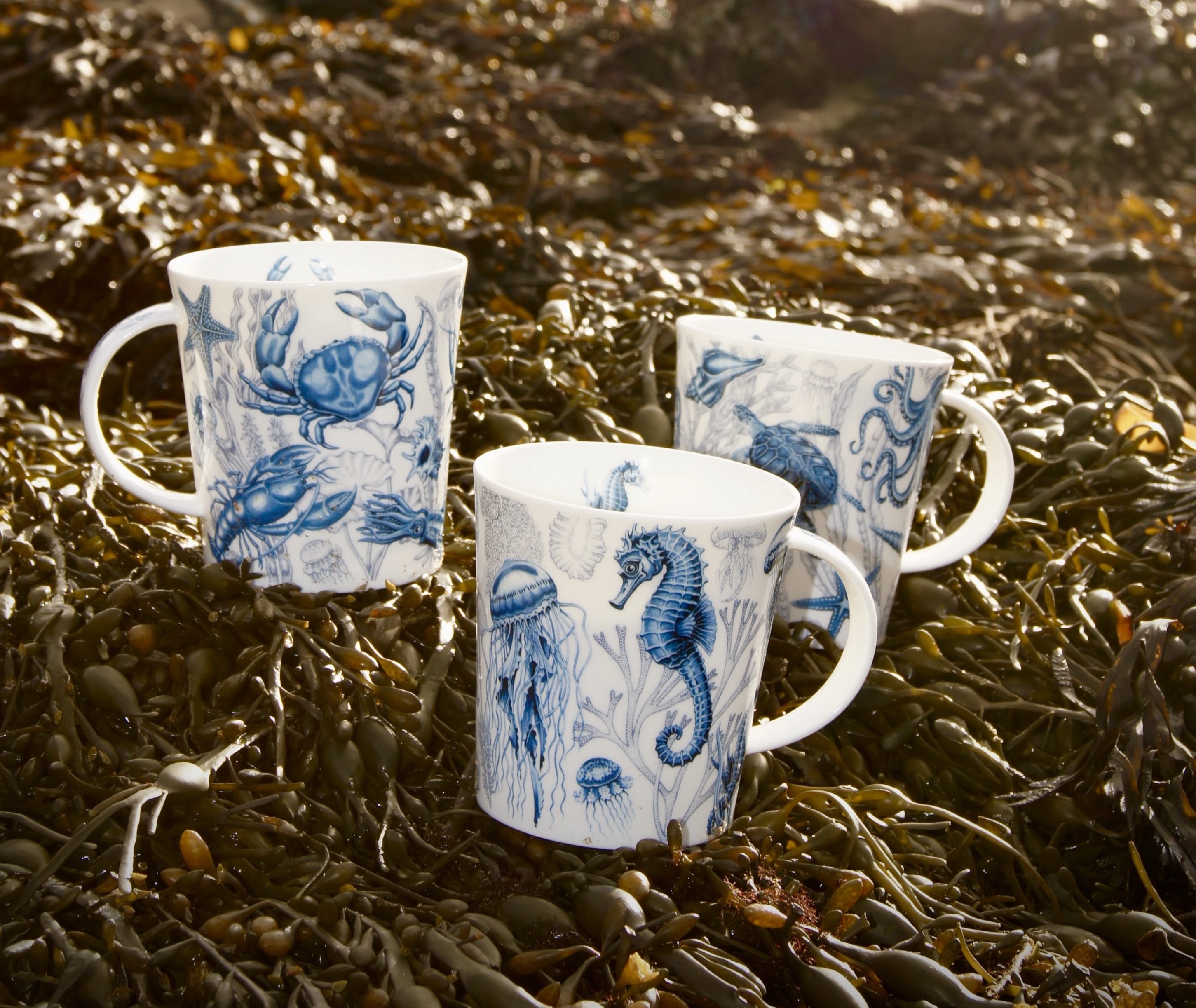 DUNOON profile image 3