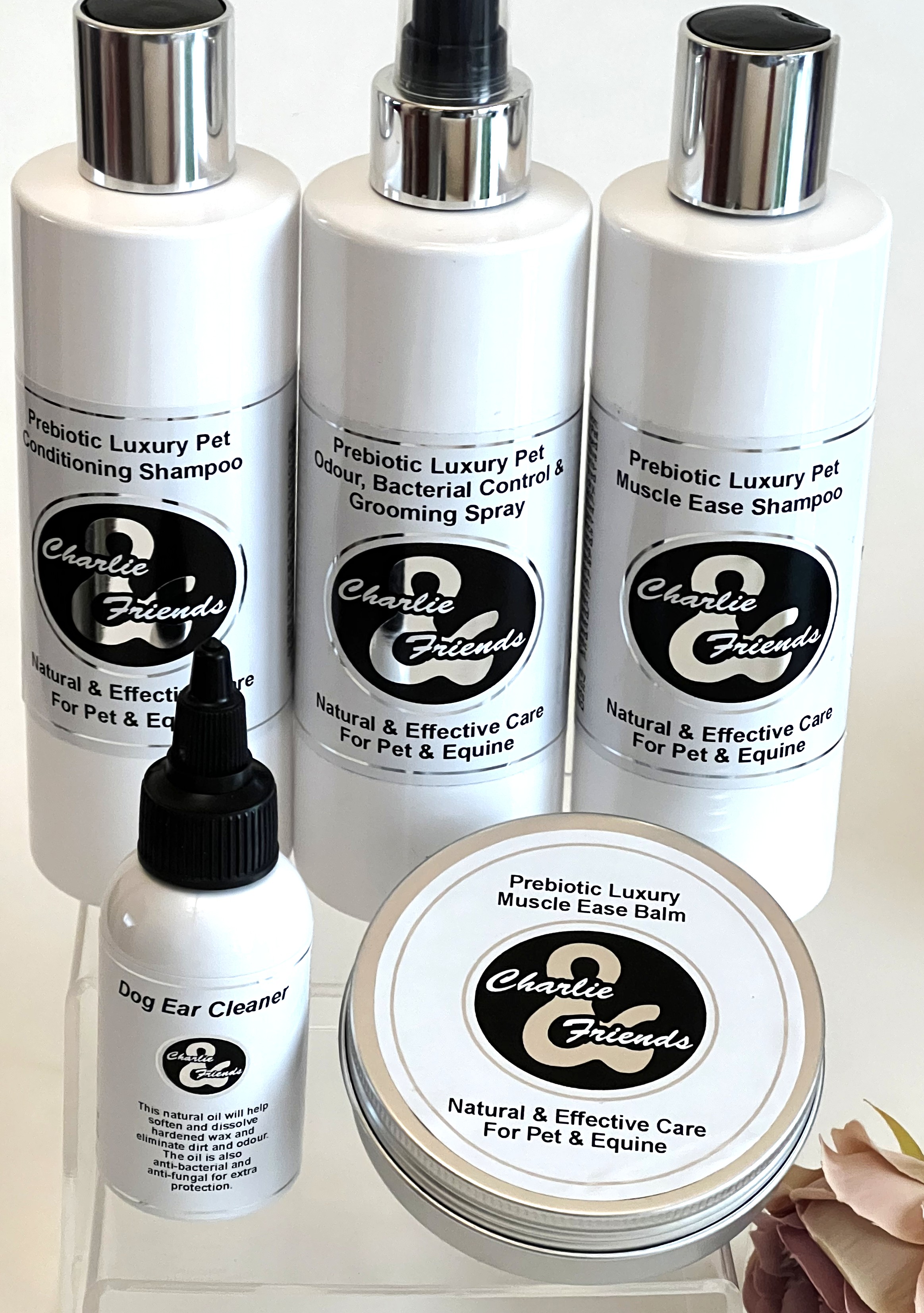 Charlie And Friends Products profile image 1