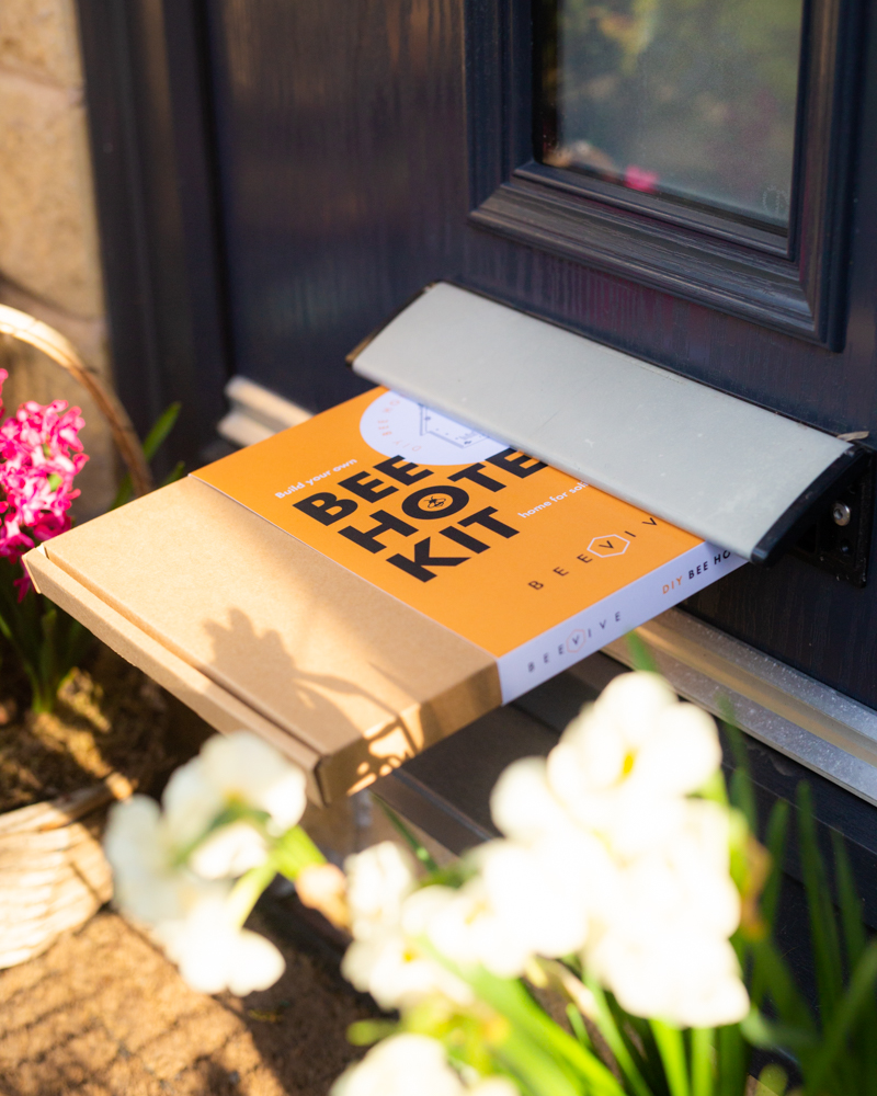 Beevive Ltd profile image 3