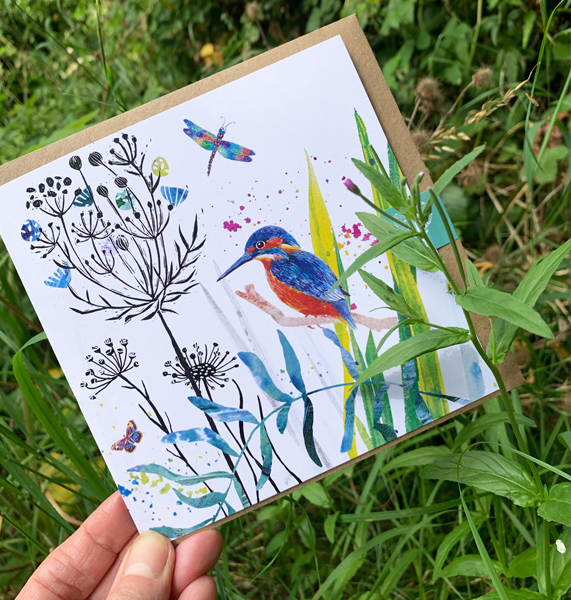 Amanda Hillier Designer & Illustrator profile image 4