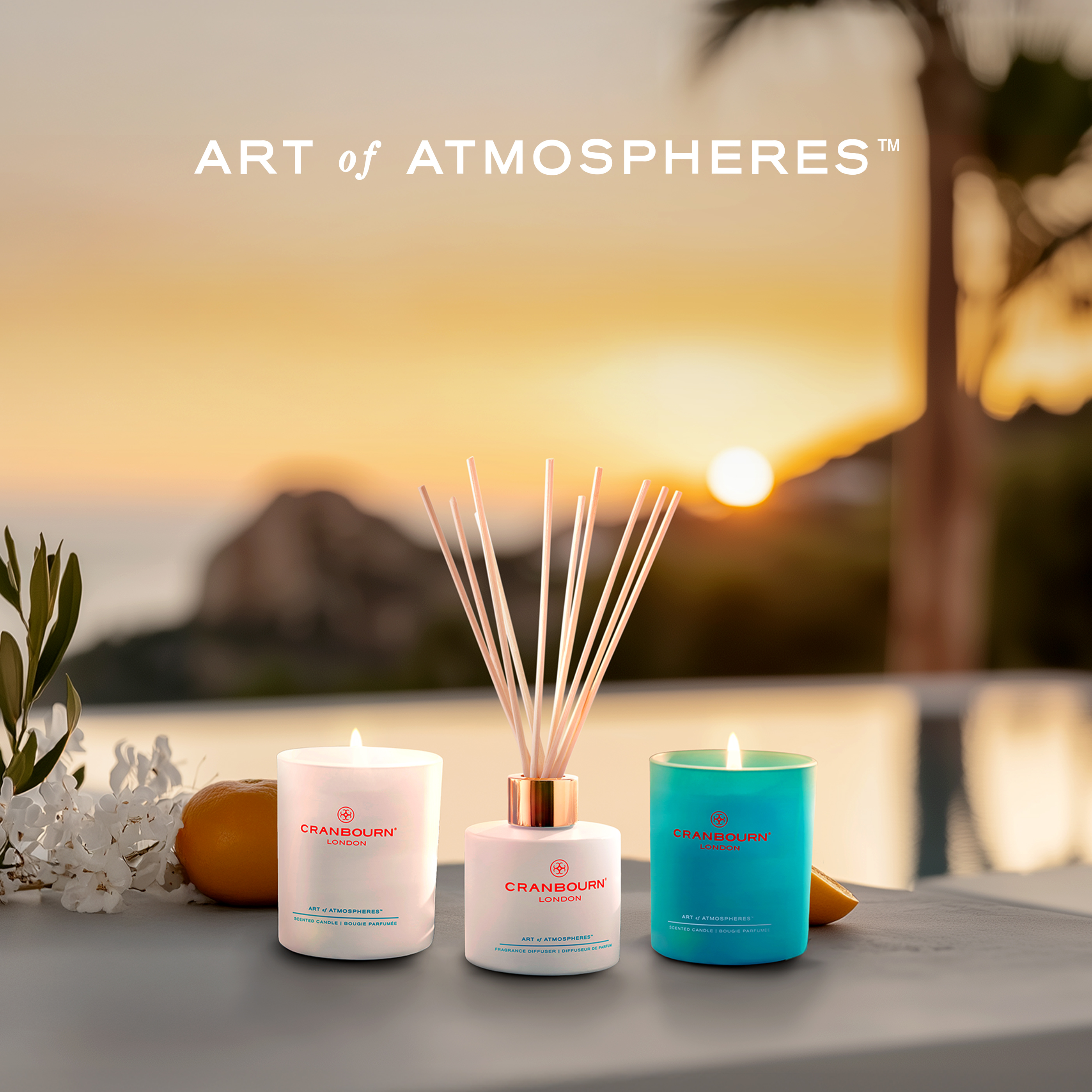 CRANBOURN® profile image 3