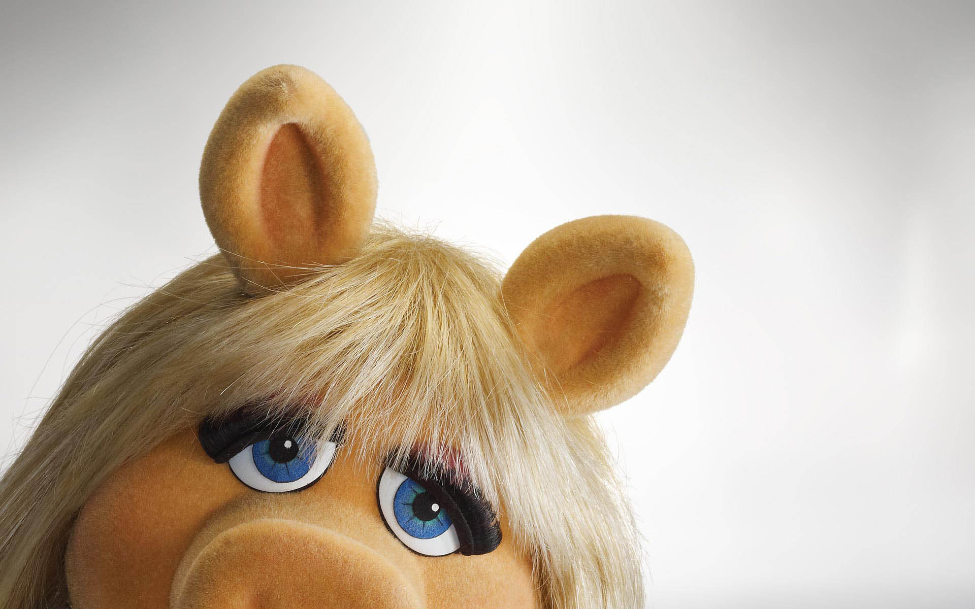 The Visual Test profile image 3