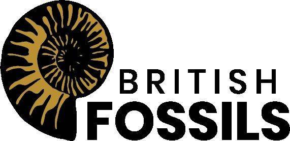 Giftstones Limited Logo