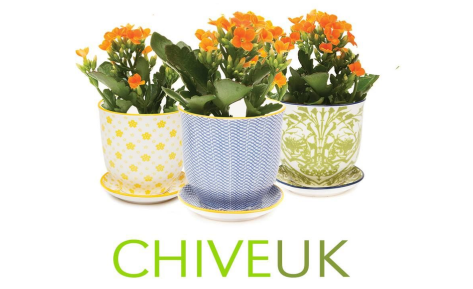 Chive UK Ltd Logo