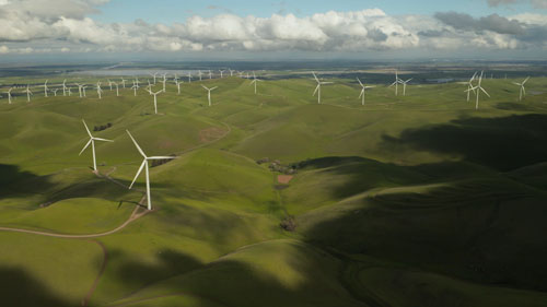 HOW TO ACHIVE CARBON NEUTRALITY IN YOUR BUSINESS