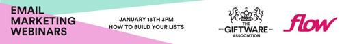 MINI EMAIL MARKETING WEBINAR SERIES WITH FLOW DIGITAL