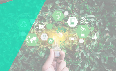SUSTAINABILITY MEMBER SPOTLIGHT: SEBNINI