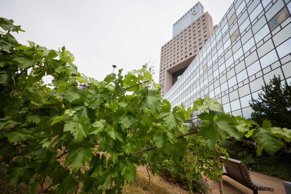 Messe Frankfurt determines Corporate Carbon Footprint as a basis for decarbonisation