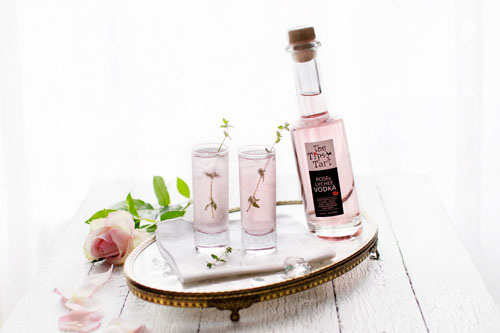 COME AND SAY HI TO THE GIFTWARE TEAM AT SPRING FAIR AND THEIR EXCITING STAND WITH BUY-FROM SHROPSHIRE