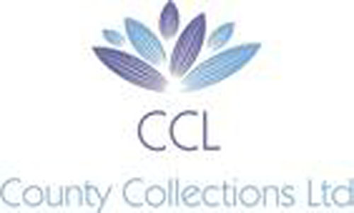 SERVICE PROVIDER - COUNTY COLLECTIONS