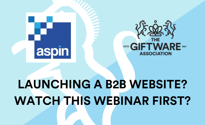 Launching a B2B website? Watch this webinar first!