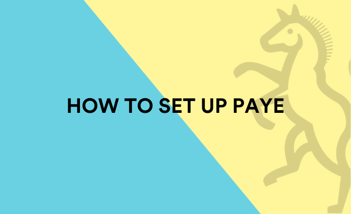 How to set up PAYE