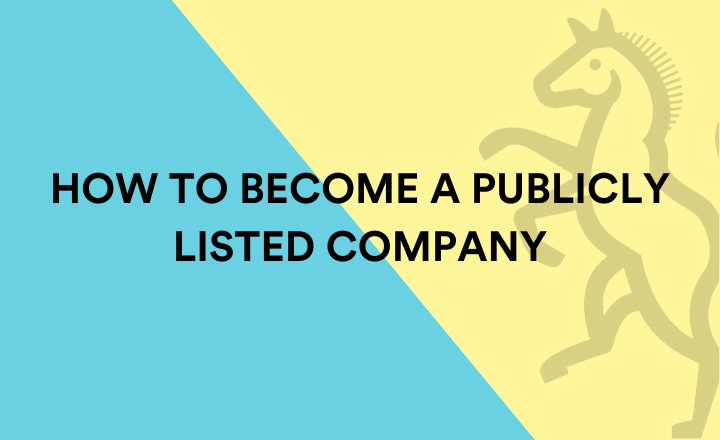 How to become a publicly listed company