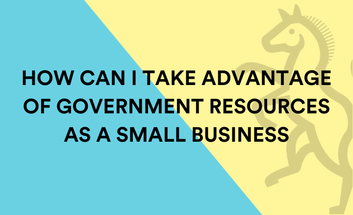 How can I take advantage of government resources as a small business?